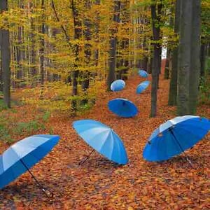 alternative risk structures